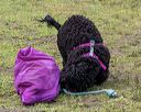 20190818-wwd-0007
