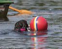 20190818-wwd-0047