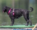 20190818-wwd-0050