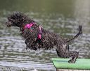 20190818-wwd-0052