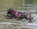 20190818-wwd-0054
