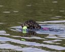 20190818-wwd-0059