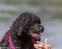 20190818-wwd-0078
