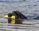 20190818-wwd-0081