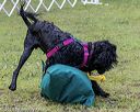 20190818-wwd-0114