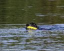 20190818-wwd-0144