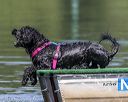 20190818-wwd-0163