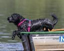 20190818-wwd-0170