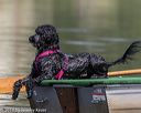 20190818-wwd-0171