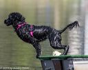 20190818-wwd-0172