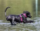 20190818-wwd-0178