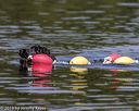 20190818-wwd-0183