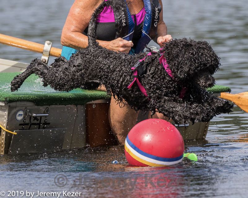 20190818-wwd-0032.jpg