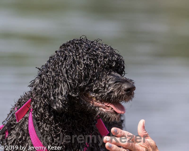 20190818-wwd-0078.jpg
