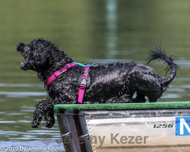 20190818-wwd-0163.jpg