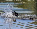 20190921-awd-0053