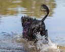 20190921-awd-0143