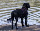 20190921-awd-0217