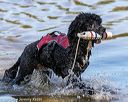 20190921-awd-0413