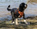 20190921-awd-0632