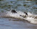 20190921-awd-0694