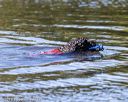 20190921-cwd-0025