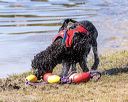 20190921-cwd-0059