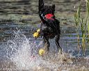 20190921-cwd-0066
