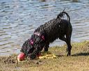 20190921-cwd-0174