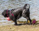 20190921-cwd-0177
