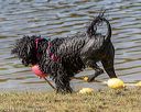 20190921-cwd-0179