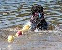 20190921-cwd-0192