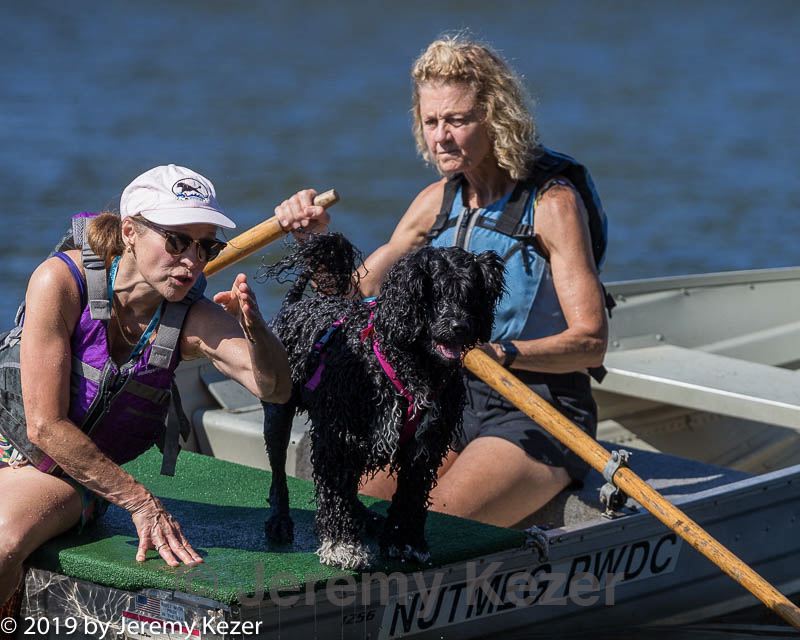 20190921-cwd-0153.jpg