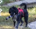 20190921-jwd-0017