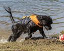 20190921-senior-0057