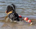 20190921-senior-0067