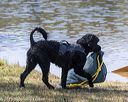 20190921-wwd-0054