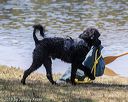 20190921-wwd-0058