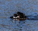 20190921-wwd-0072