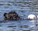20190921-wwd-0095