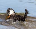 20190922-awd-0022
