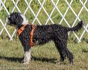 20190922-awd-0066