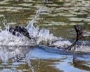 20190922-awd-0167