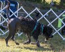 20190922-awd-0182