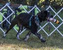 20190922-awd-0184