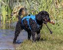 20190922-awd-0261