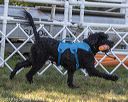 20190922-awd-0267