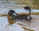 20190922-awd-0375