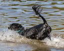 20190922-awd-0408