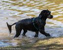 20190922-awd-0418